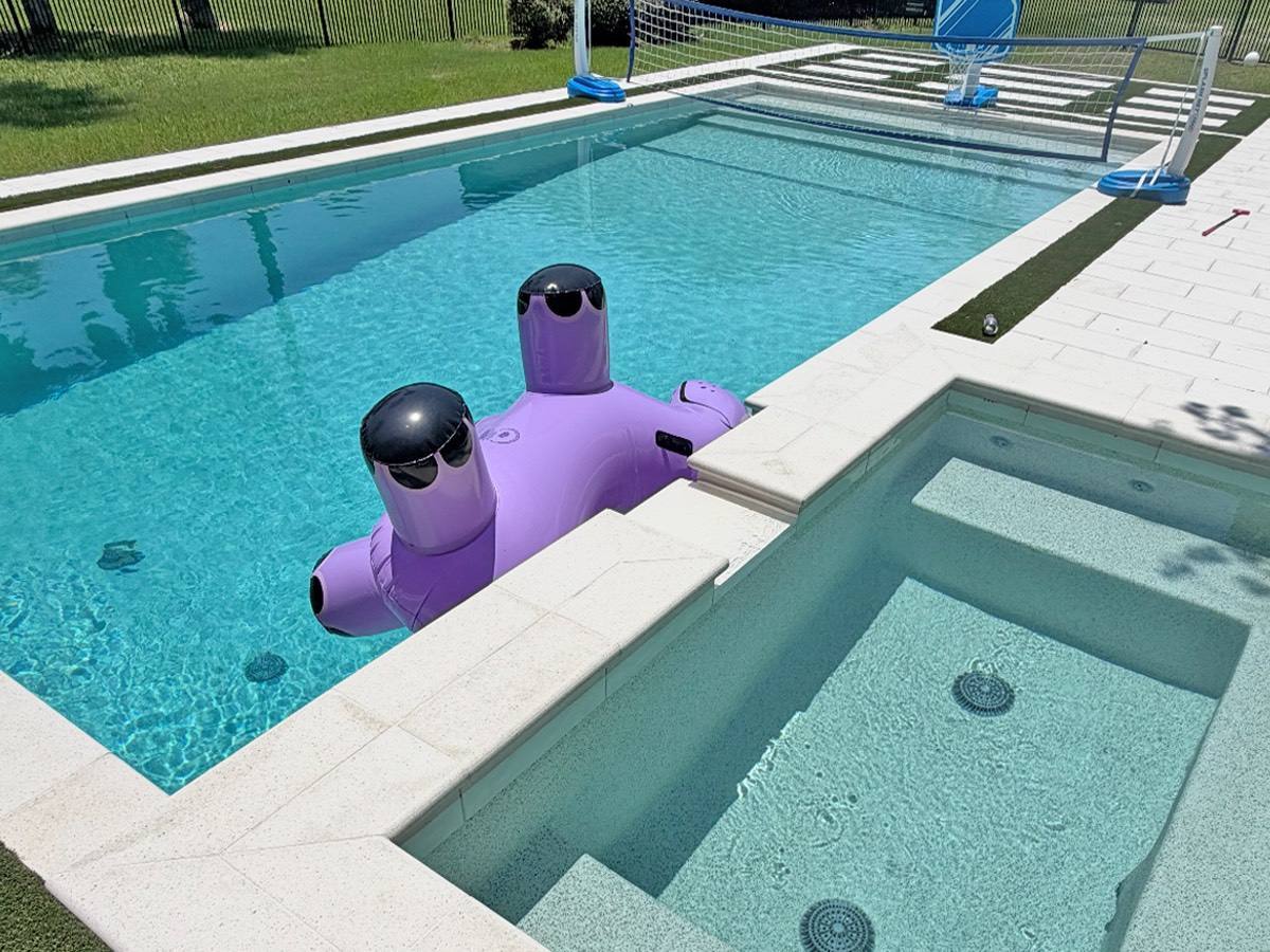 Clean pool and attached spa serviced by Sharkey Pools