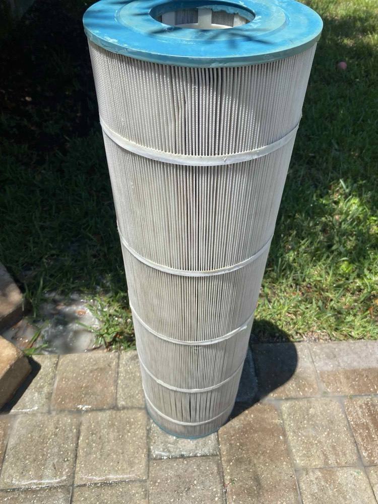 Freshly cleaned pool filter cartridge